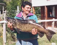 Don Aníbal Vallejos Espinoza