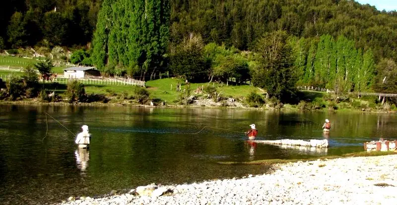 Naturaleza pura en el antiguo complejo